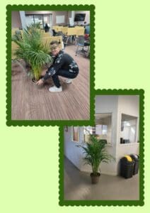 plante_crc_autun_ahuy